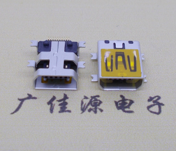 大朗镇迷你USB插座,MiNiUSB母座,10P/全贴片带固定柱母头