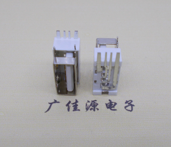 大朗镇USB侧立式短体10.0尺寸 侧插加宽脚5A大电流插座