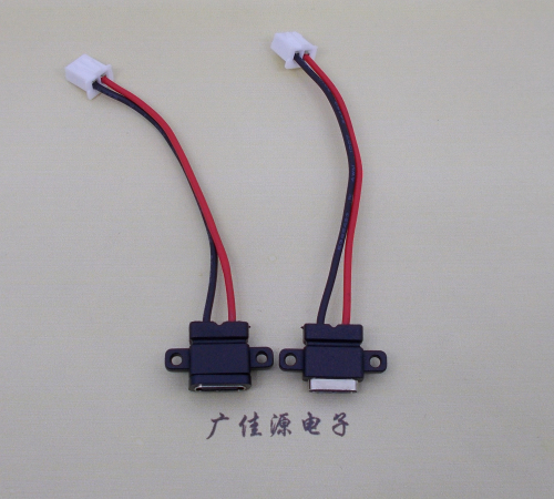 大朗镇简易type c2p防水母座注塑成型带双螺丝孔焊线式带线带接线端子单充电功能