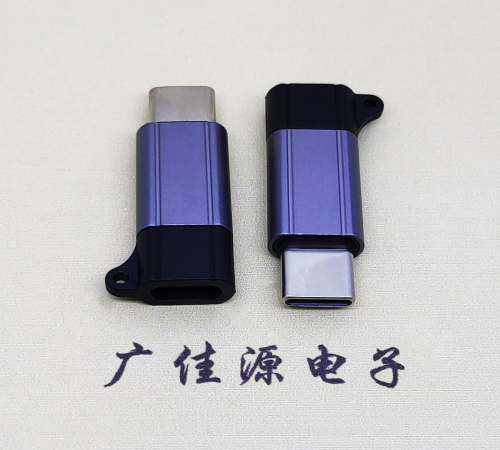 大朗镇Type-C母转Type-C公 USB3.1 PD100W快冲接口